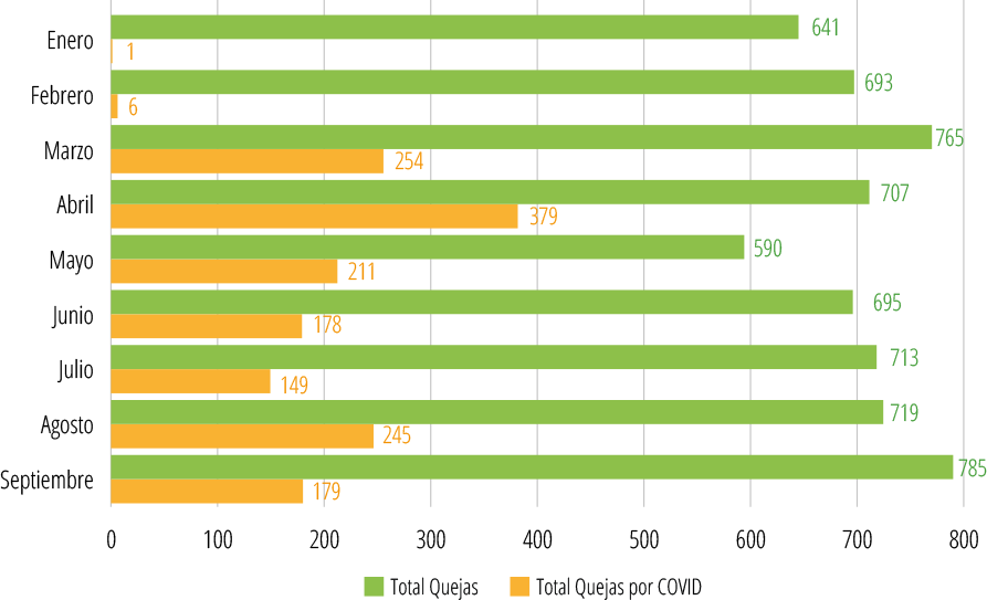 Gráfico 20