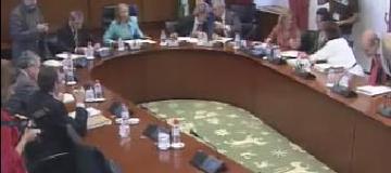 Informe Anual 2008