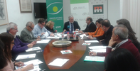 Reunión de trabajo del Observatorio de Salud Mental de Andalucía en la sede del DPA