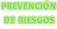 Resolución de adjudicación del contrato para el servicio de prevención de riesgos laborales y vigilancia de la salud