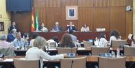 El Defensor del Pueblo Andaluz pide en el Parlamento la mejora de la asistencia sanitaria de la población reclusa