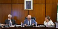 Dos de cada tres actuaciones del Defensor del Pueblo andaluz en defensa de la dignidad de las personas pertenecen a colectivos vulnerables