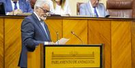 El Defensor del Pueblo andaluz prioriza la atención sanitaria, la dependencia y la valoración de la discapacidad ante el Pleno del Parlamento andaluz