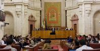 Presentación del Informe Anual 2014 en Pleno del Parlamento de Andalucía