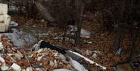 Investigamos la situación de un vertedero incontrolado en los alrededores del arroyo del Cuarto, en Málaga