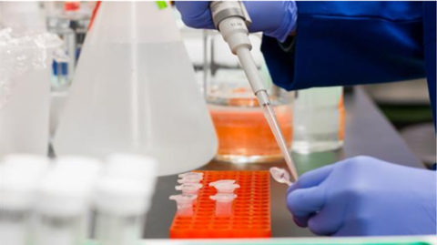 Laboratorio realizando prueba PCR