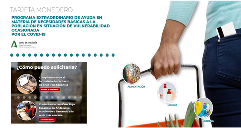 brazo de una persona portando una cesta con alimentos