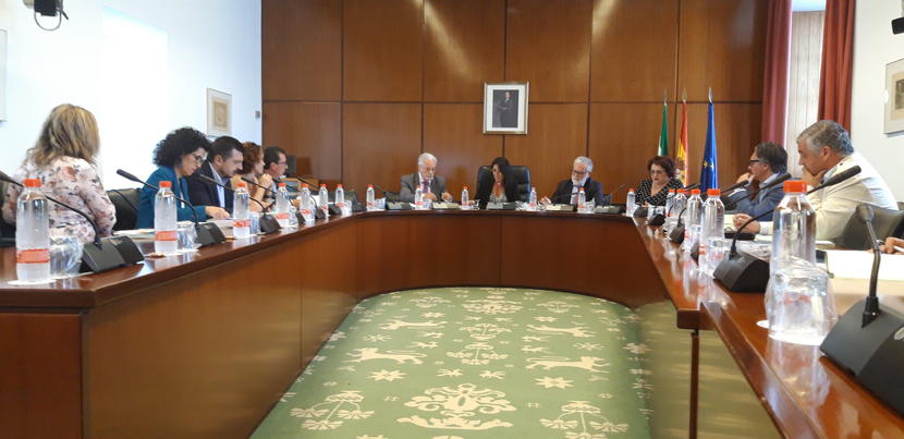 Más de 22.000 personas requieren una actuación del Defensor del Pueblo andaluz Más de 22.000 personas requieren una actuación del Defensor del Pueblo andaluz