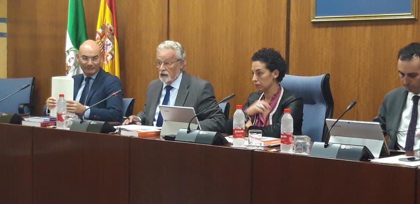El Defensor del Menor reivindica el cumplimiento de un decálogo de principios inexcusables para proteger los derechos de la infancia y la adolescencia El Defensor del Menor reivindica el cumplimiento de un decálogo de principios inexcusables para proteger los derechos de la infancia y la adolescencia