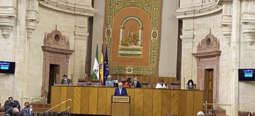 El Defensor del Pueblo andaluz insta al Pleno del Parlamento andaluz a no permitir que aumente la exclusión y la desigualdad social a causa de la COVID-19 El Defensor del Pueblo andaluz insta al Pleno del Parlamento andaluz a no permitir que aumente la exclusión y la desigualdad social a causa de la COVID-19
