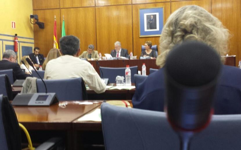11 h: Presentación del Informe Anual del Menor 2013 en Comisión del Parlamento de Andalucía