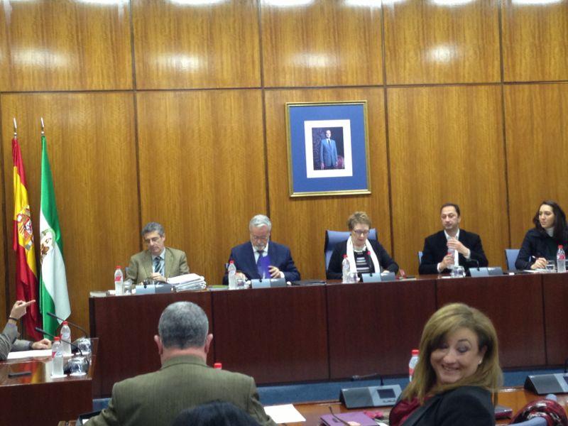 El DPA debate el Informe Especial de la situación de los Enfermos Mentales en Andalucía en el Parlamento
