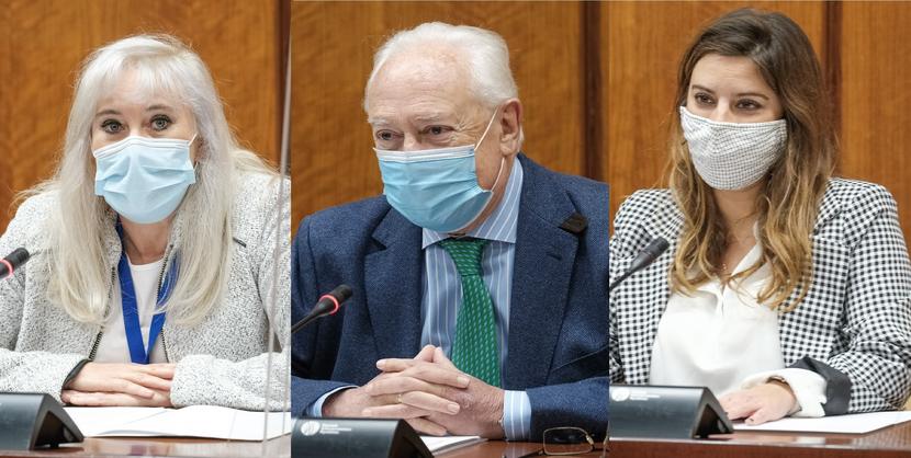 Conformidad a los Adjuntos al Defensor del Pueblo andaluz Conformidad a los Adjuntos al Defensor del Pueblo andaluz
