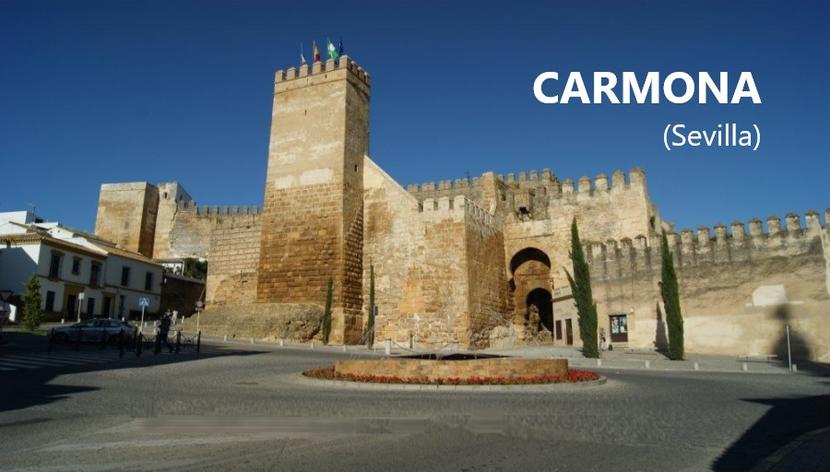 Visita a la Comarca Campiña de Carmona (Sevilla)