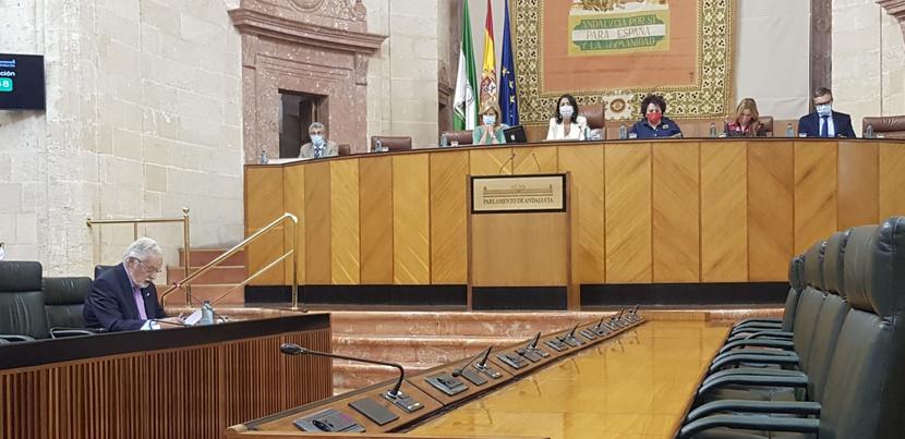 Más de 5.000 actuaciones en el Defensor del Pueblo andaluz a causa de la COVID-19 Más de 5.000 actuaciones en el Defensor del Pueblo andaluz a causa de la COVID-19