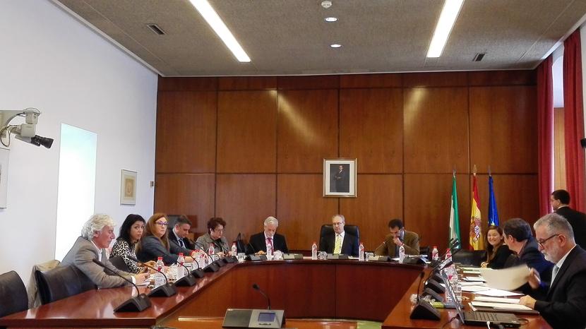 El Defensor del Pueblo Andaluz urge a la modificación del programa de solidaridad con una mayor dotación presupuestaria y celeridad en su tramitación