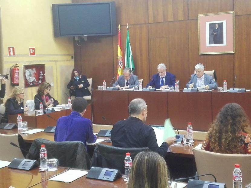 Presentación del Informe Especial de "Acoso Escolar y Ciberacoso" en comisión parlamentaria