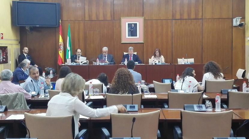 El Defensor del Pueblo Andaluz pide en el Parlamento la mejora de la asistencia sanitaria de la población reclusa