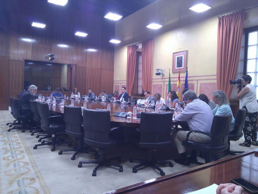 El Defensor del Pueblo andaluz aplaude el proyecto de ley andaluza del voluntariado El Defensor del Pueblo andaluz aplaude el proyecto de ley andaluza del voluntariado