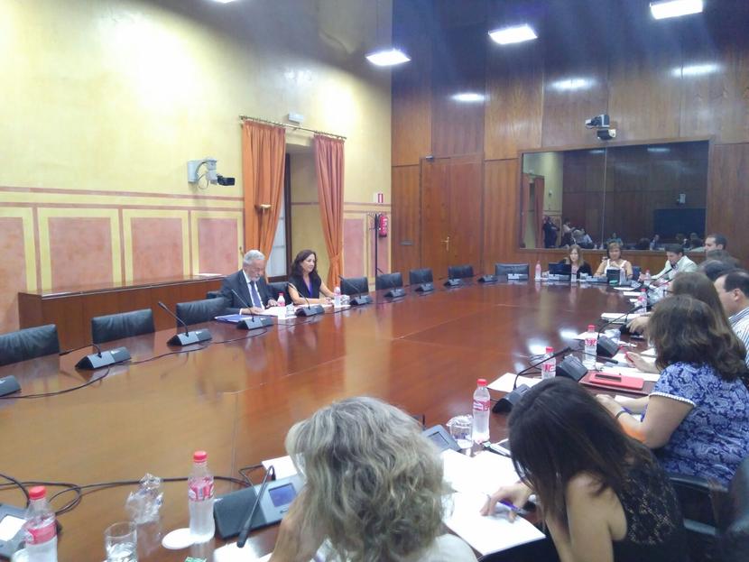 El Defensor del Pueblo pide que se aclare la configuración de los derechos y garantías en la futura Ley de Servicios Sociales de Andalucía