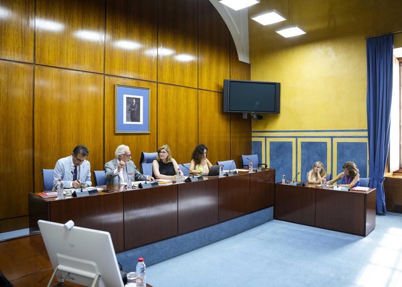 El Defensor de la Infancia y adolescencia de Andalucía presenta su informe anual 2023 en comisión parlamentaria El Defensor de la Infancia y adolescencia de Andalucía presenta su informe anual 2023 en comisión parlamentaria