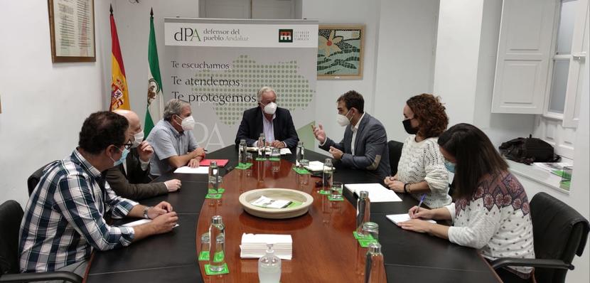 El Defensor del Pueblo andaluz aboga por un proceso ordenado y planificado de las energías renovables El Defensor del Pueblo andaluz aboga por un proceso ordenado y planificado de las energías renovables